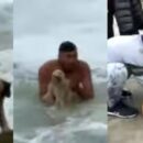 Mar del Plata: un hombre se tiró al mar para salvar a un caniche
