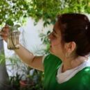 Sin casos de dengue pero con mosquitos: el mapa de los 33 barrios de Santa Fe con ovitrampas positivas