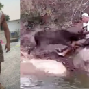 Video: Frank Cuesta estuvo al borde de la muerte tras un ataque de un ciervo