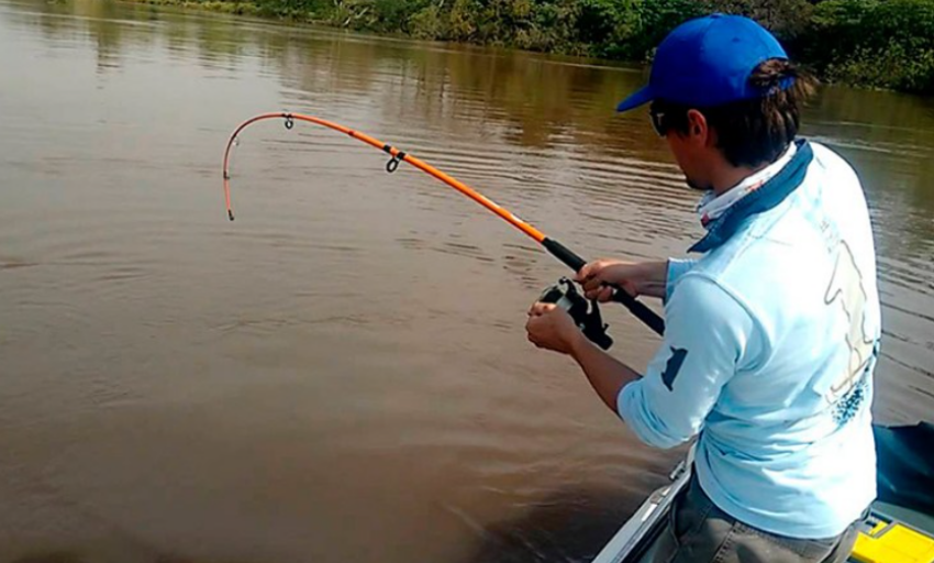 El gobierno de Santa Fe prohíbe la pesca de surubí hasta fin de año