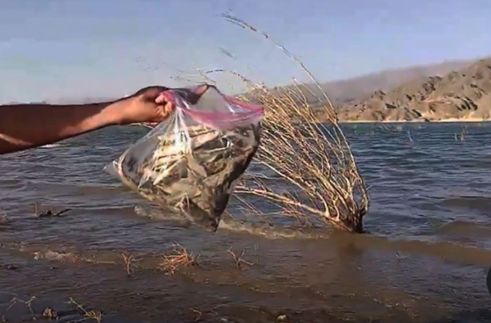 Peces muertos en San Juan: asambleas denunciaron un derrame minero y Ambiente dijo que fue un fenómeno natural