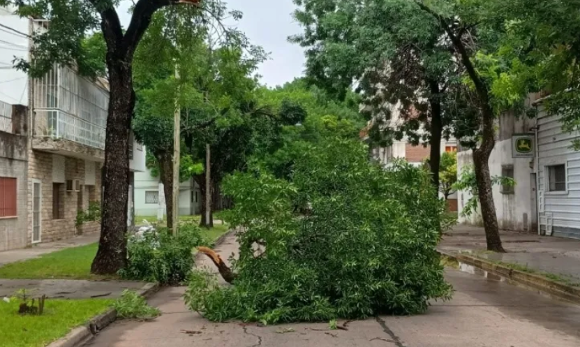 Un temporal con ráfagas de más de 80 km/h causó daños y cortes de luz en Rosario