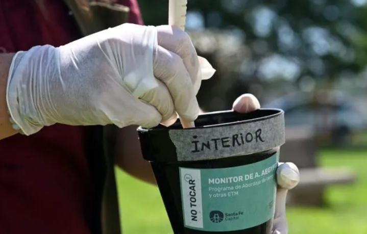 Dengue: confirmaron la presencia del mosquito transmisor en 30 barrios de la ciudad de Santa Fe