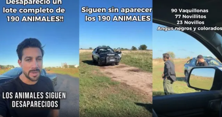 Giro en el caso del agro-influencer: imputaron al empresario por defraudación y descartan la hipótesis de robo de ganado