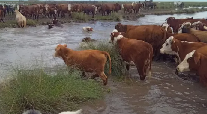 Lluvias en el norte de Santa Fe: el gobierno convocó a la Comisión de Emergencia Agropecuaria para el miércoles
