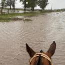 Recomendaron declarar la emergencia en 16 distritos santafesinos por las inundaciones