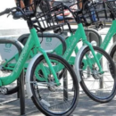 Servicios municipales previstos para el feriado del 1 de mayo