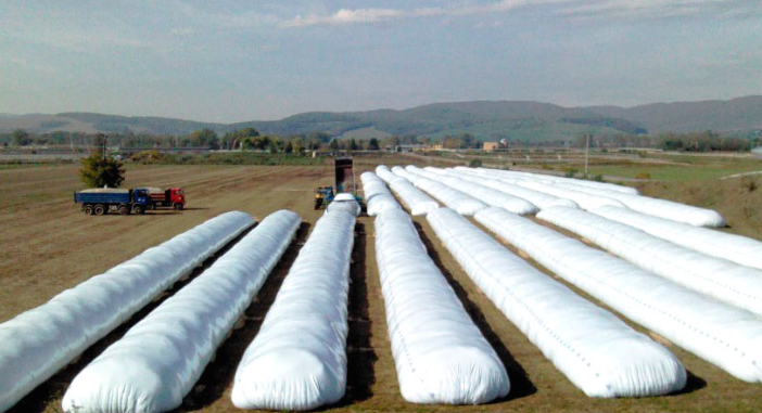 A pesar de la inédita cosecha los productores agrícolas liquidaron un 11,5% menos de dólares por cereales y granos