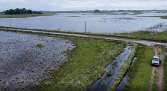 Santa Fe declaró la emergencia agropecuaria en el norte provincial y dispuso alivios impositivos para productores