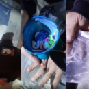 Doce aprehendidos en una vivienda usurpada usada para venta barrial de drogas en barrio Sur