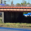 Camalotes en la Setúbal: retirarán un enorme embalsado atascado bajo el puente Colgante