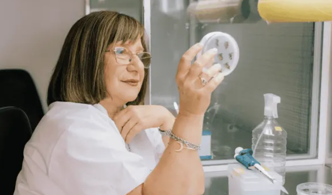 La investigadora de la UNL, Raquel Chan, ganó un prestigioso premio: del exilio en su juventud al reconocimiento por su aporte en biotecnología agrícola