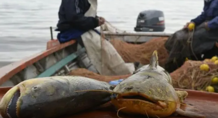 La economía santafesina cayó 3,6% en abril: el dato más alarmante, el derrumbe del 93,3% en la pesca