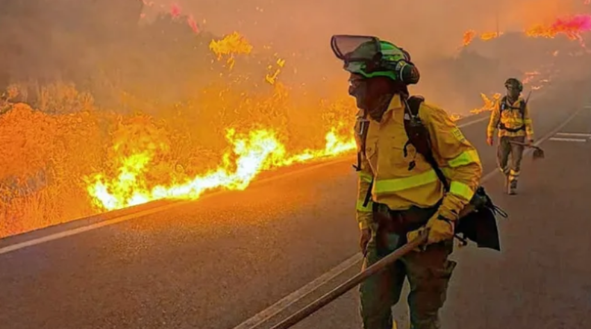 Un devastador incendio forestal en el sur de España dejó 12 muertos y 23 personas desaparecidas