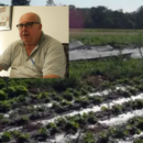 Beckman: “La baja del consumo de frutas y verduras se asemeja la 2001”