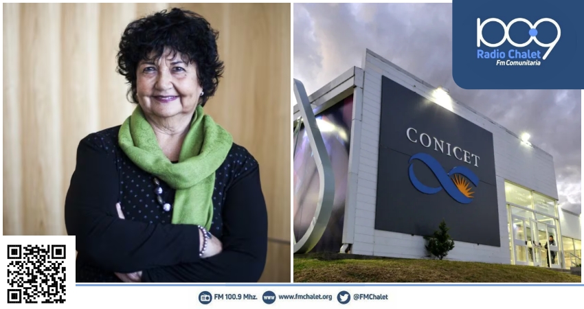 Dora Barrancos: “Los actuales legisladores nacionales tienen desnutrición de erudición”