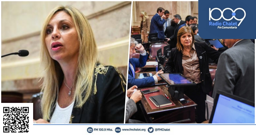 Sacnun: “La futura Ley de Inviolabilidad es verdaderamente una ley de extranjerización de la tierra”