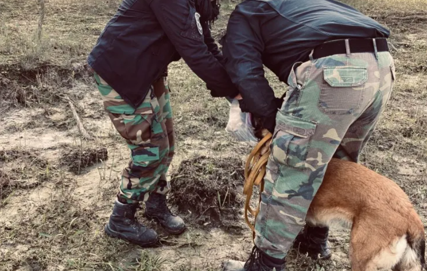 Hallan restos humanos en el norte santafesino: investigan si pertenecen a Rubén Solís