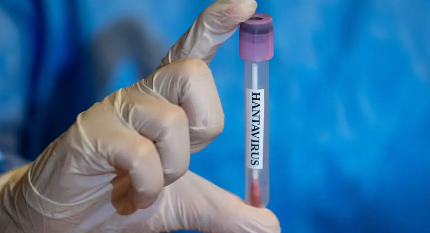 Un argentino contrajo hantavirus durante un viaje por Europa y permanece aislado en España