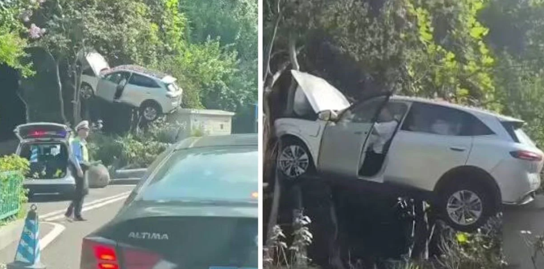 Increíble accidente en China: perdió el control y el auto terminó incrustado en un árbol