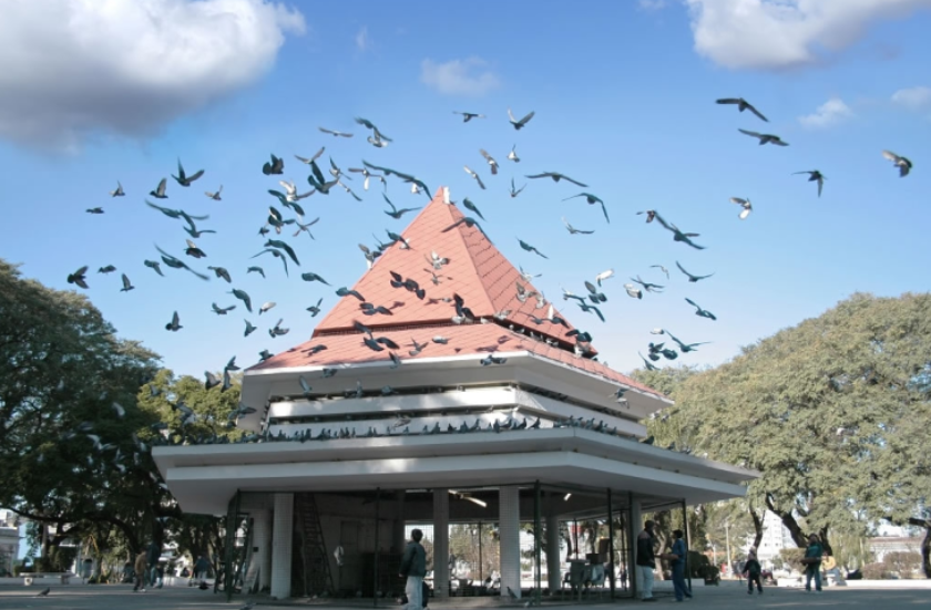 Proponen crear palomares ecológicos en Santa Fe para controlar la población de aves