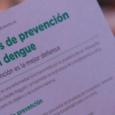 Nueva temporada de dengue: se confirmaron los dos primeros casos en el país