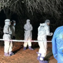 Investigan un posible femicidio seguido de suicidio en Tucumán: hallaron a una pareja muerta en un monte