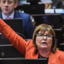Bullrich: “No tenemos los votos para eliminar o suspender las PASO”
