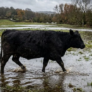 Fenómeno de El Niño: Protección Civil recibe $1.156 millones para adquirir equipamiento