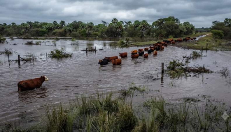 Productores del norte de Vera reclaman obras hídricas, mejoras en rutas y mayor seguridad rural
