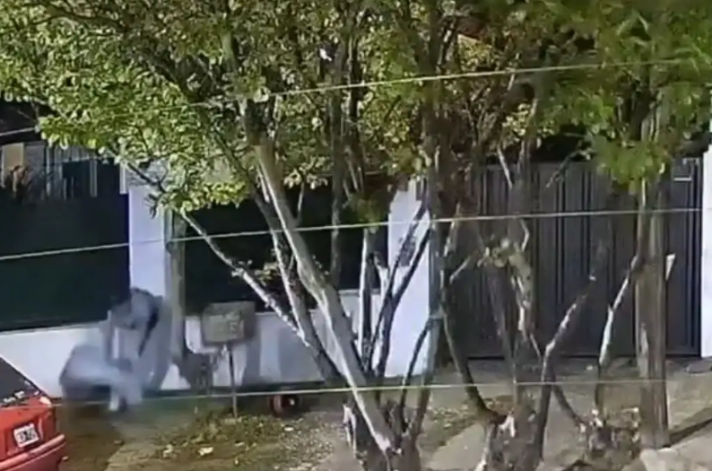 Beccar: fue a la casa de su ex pareja y la golpeó brutalmente con un casco en plena calle