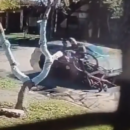Temperley: un joven pelea por su vida tras ser atropellado por otro con quien había tenido una discusión