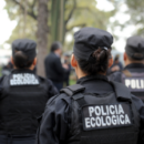 Rescataron a un ciervo herido con una pata fracturada en Fonavi San Jerónimo