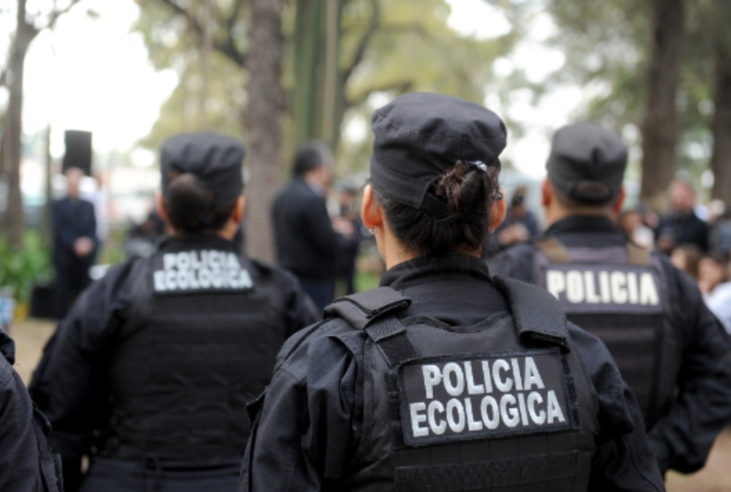 Rescataron a un ciervo herido con una pata fracturada en Fonavi San Jerónimo