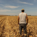 El fenómeno El Niño podría disminuir su intensidad, según estimaciones