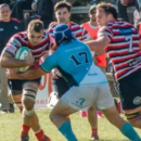 Se viene la última jornada en el Torneo Regional del Litoral